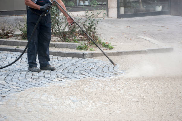 Best Sidewalk and Walkway Cleaning  in Yorkville, WI